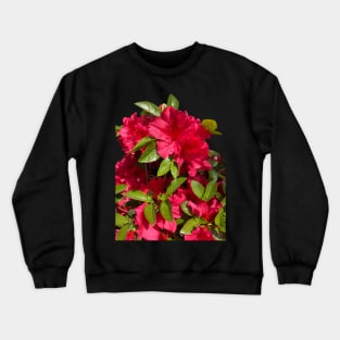 Red Azalea Crewneck Sweatshirt